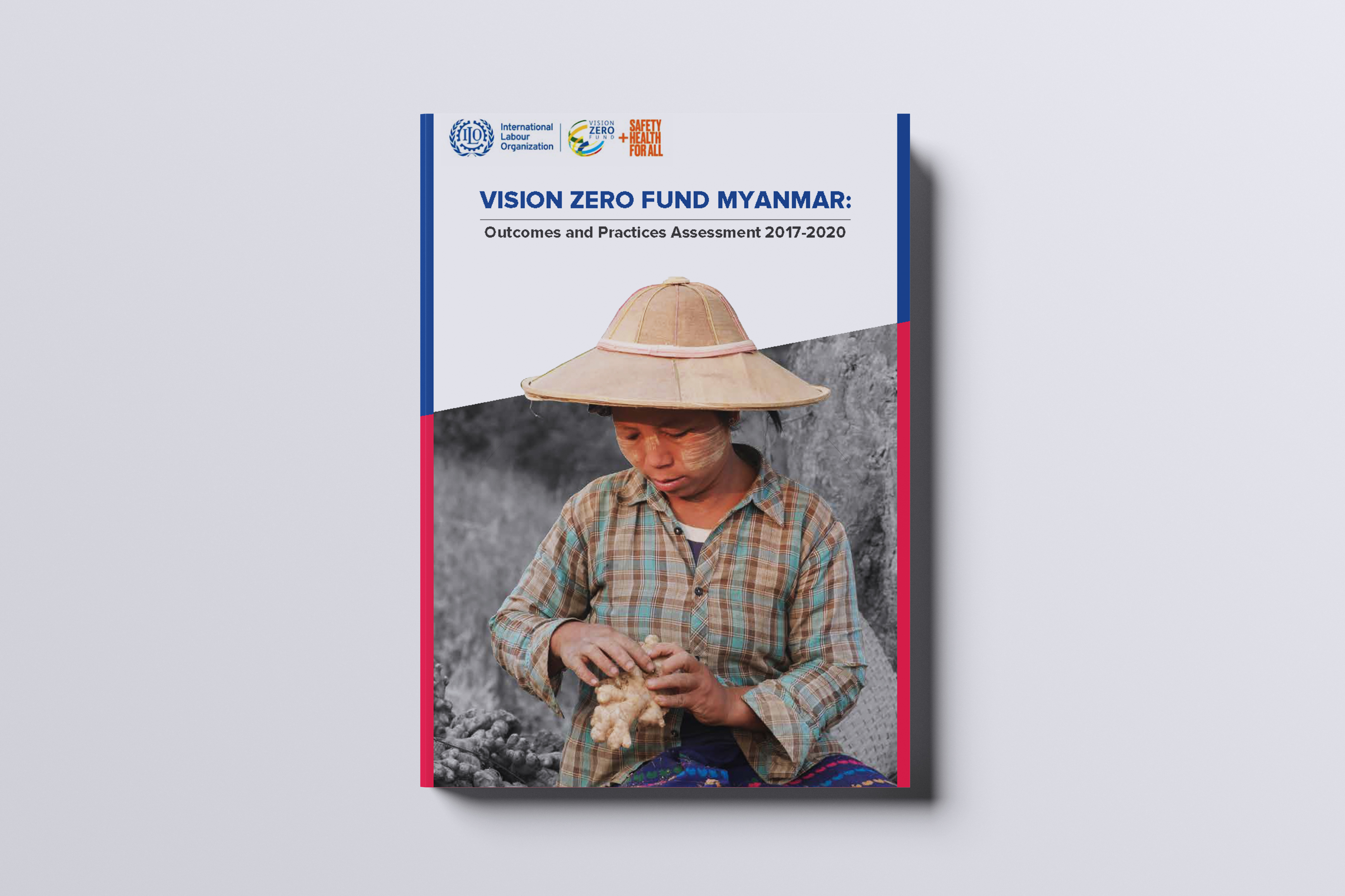 ILO VZF — Publication Cover
