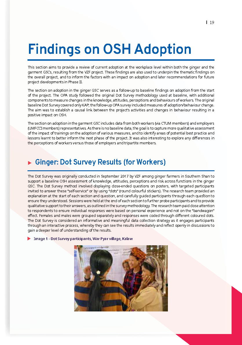 ILO VZF — Findings: OSH Adoption